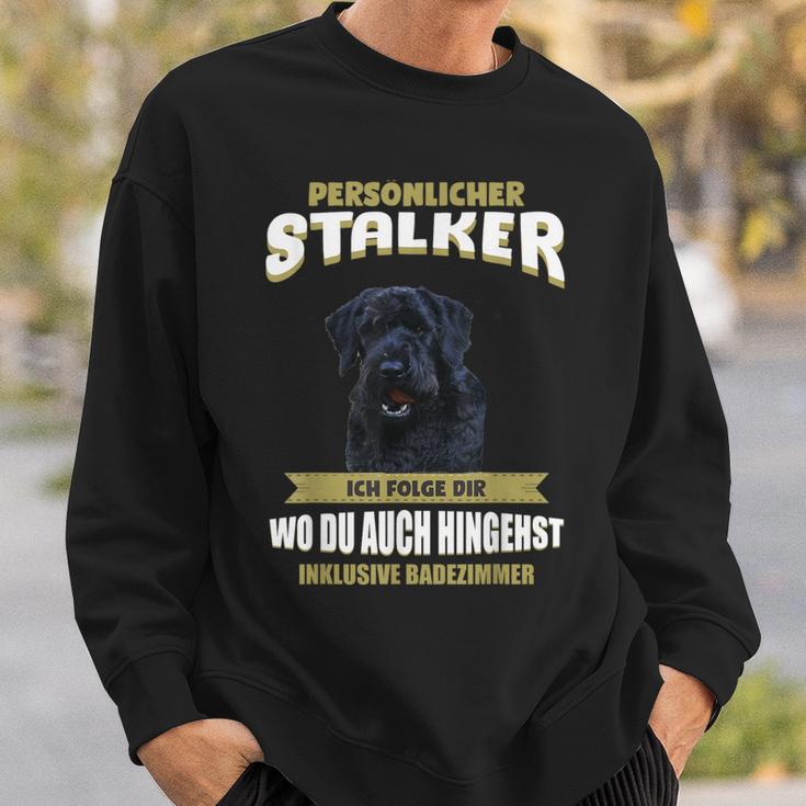 Giant Schnauzer With Giant Schnauzer Dog Motif Sweatshirt Geschenke für Ihn