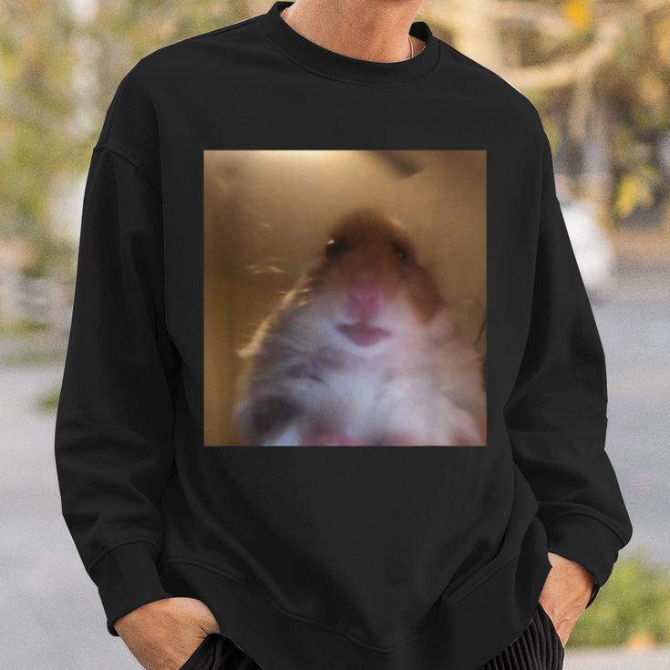 Hamster Starrt In Die Front Camera I Internet Hamster Meme Sweatshirt Geschenke für Ihn