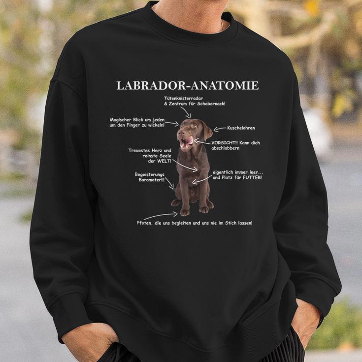 Labrador Labbi Anatomy Sweatshirt Geschenke für Ihn