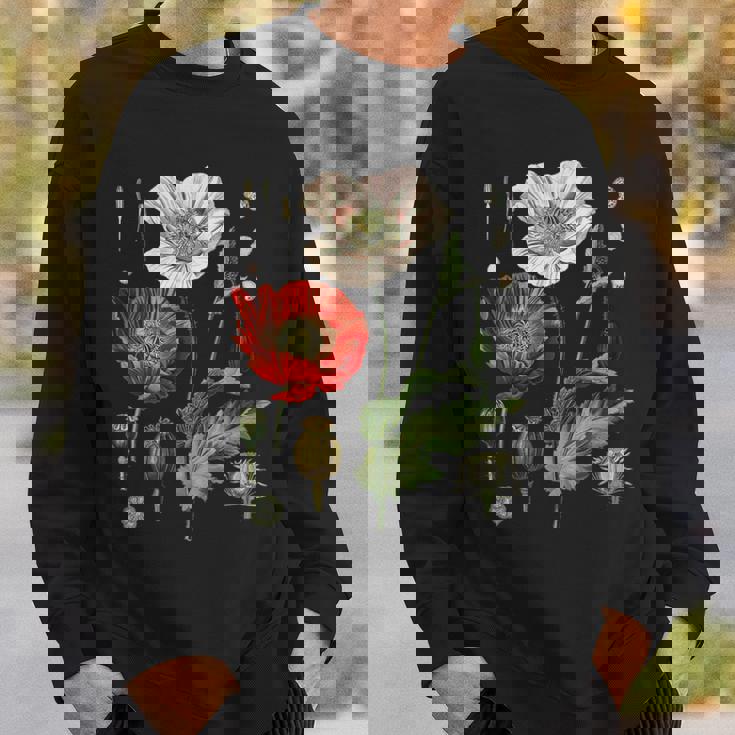 Papavero Rosso Fiore Papaveri Botanici Papavero Rosso Con Collo A Felpa Regalos para él