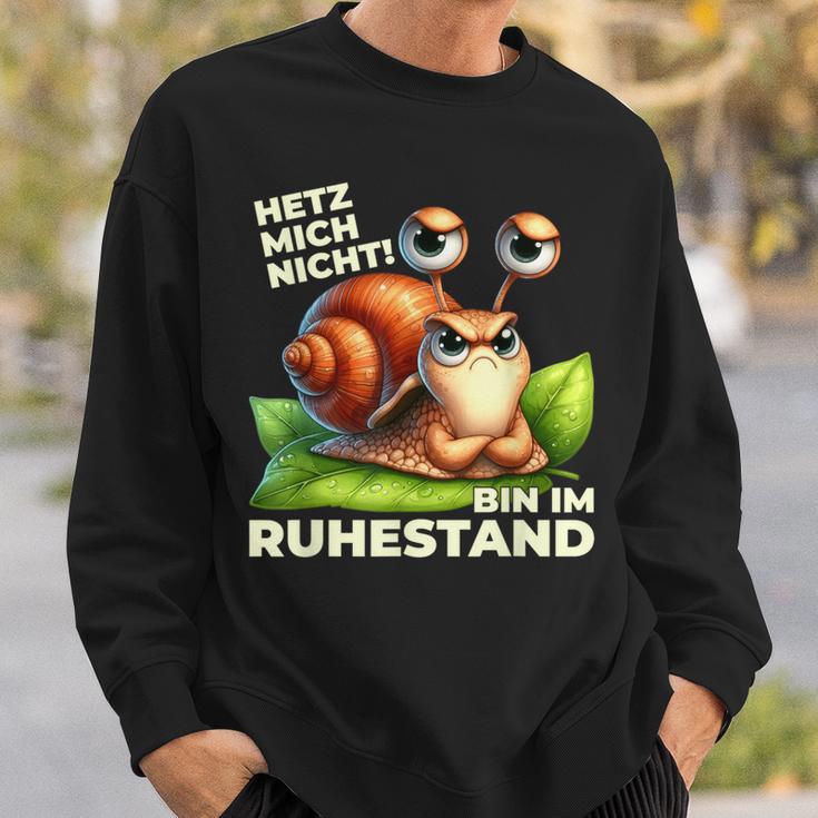 Rente 2024 Pensioner Turtle Do Not Rush Sweatshirt Geschenke für Ihn