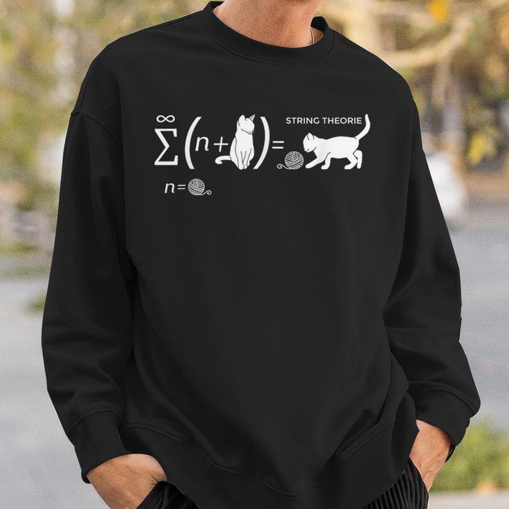 String Theory Schrödingers Katze Physiker Student Sweatshirt Geschenke für Ihn