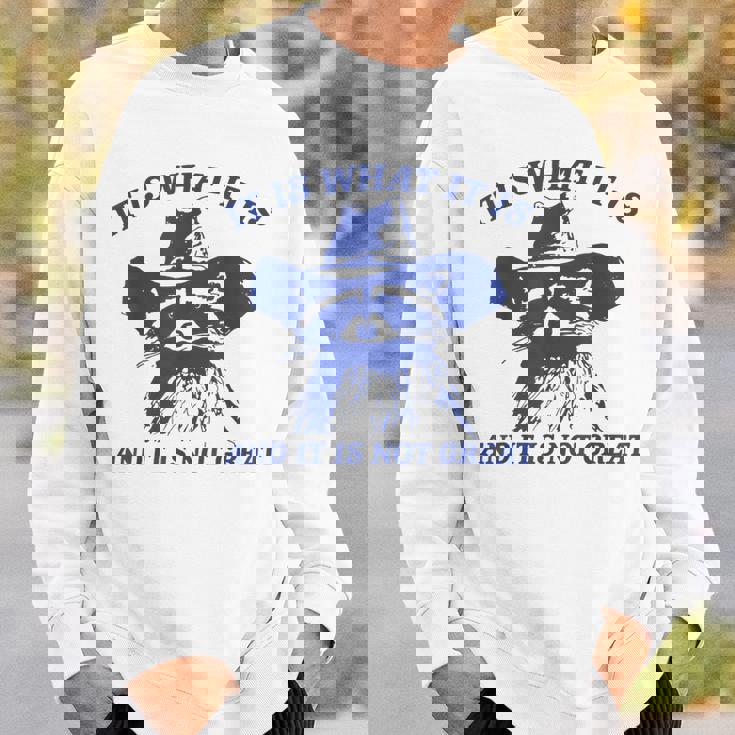 Raccoon Retro It Is What It Is And It Is Not Great Sweatshirt Gifts for Him