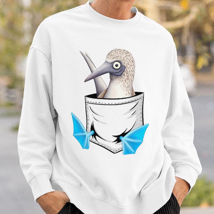 Lustiger Meeres-Vogel Blaufußtölpel In Der Tasche Sweatshirt Geschenke für Ihn