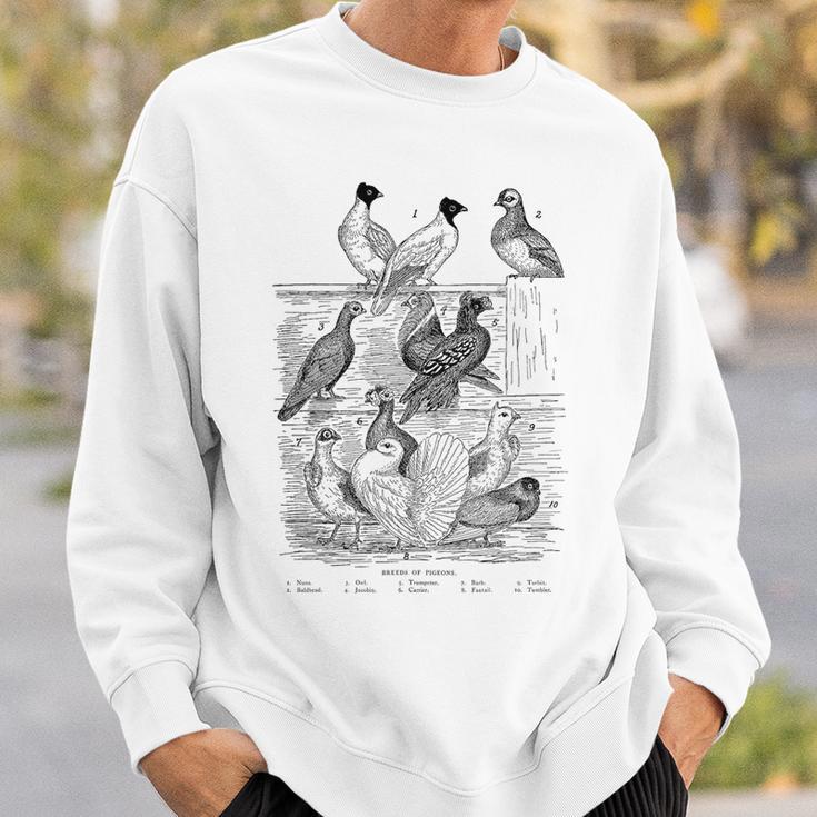 Pigeonintage Breeds Of Pigeons For Pigeon Lover Sweatshirt Geschenke für Ihn