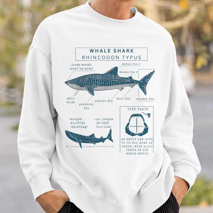 Killer Whale Anatomy Sweatshirt, Marine 2024 Biology Sweatshirt, Orca Whale Sweatshir