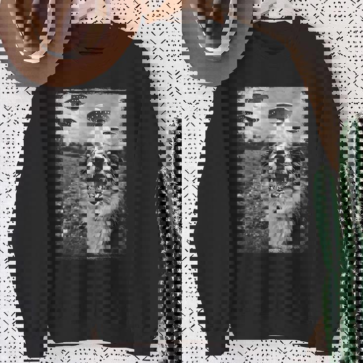Border Collie Dog Ufo Alien Selfie Extraterrestre Felpa Regalos para ancianas