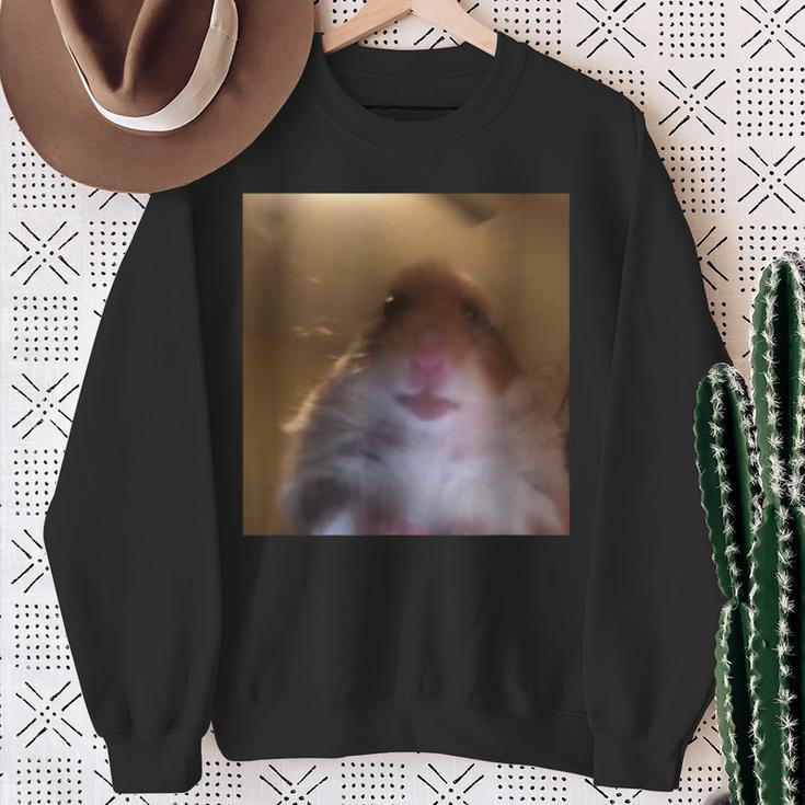 Hamster Starrt In Die Front Camera I Internet Hamster Meme Sweatshirt Geschenke für alte Frauen