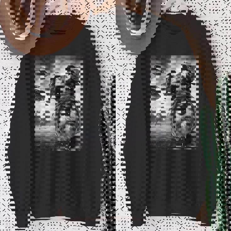Miniature Schnauzer Graphic Selfie Ufos Weird Aliens Sweatshirt Gifts for Old Women Miniature Schnauzer Graphic Selfie Ufos Weird Aliens Sweatshirt Gifts for Old Women