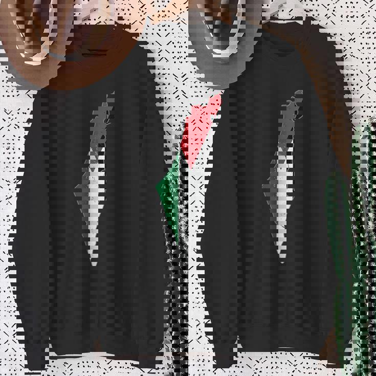 Palestina Bandiera Free Palestine Felpa Regalos para ancianas