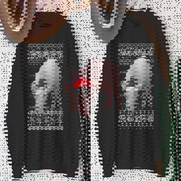 Pig Christmas Ugly Christmas Sweater Sweatshirt Gifts for Old Women