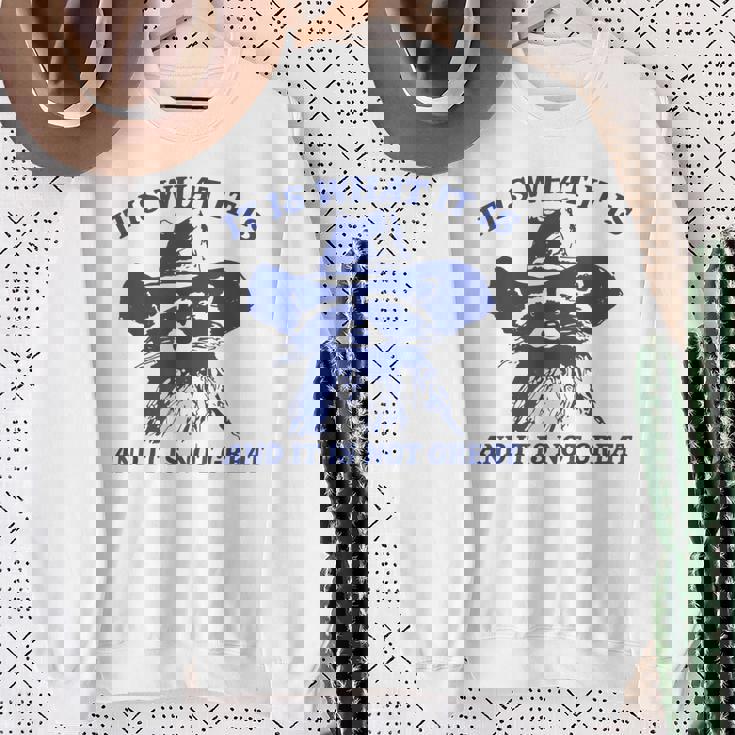Raccoon Retro It Is What It Is And It Is Not Great Sweatshirt Gifts for Old Women