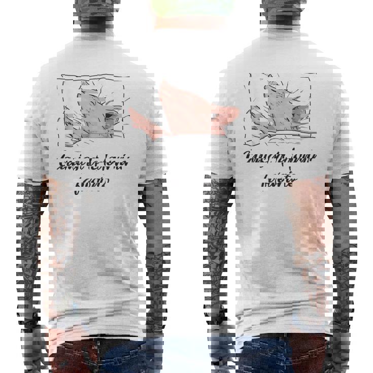 Camisa De Dormir Cerdito Pijama Cerdo Camiseta Hombre Estampado Espalda