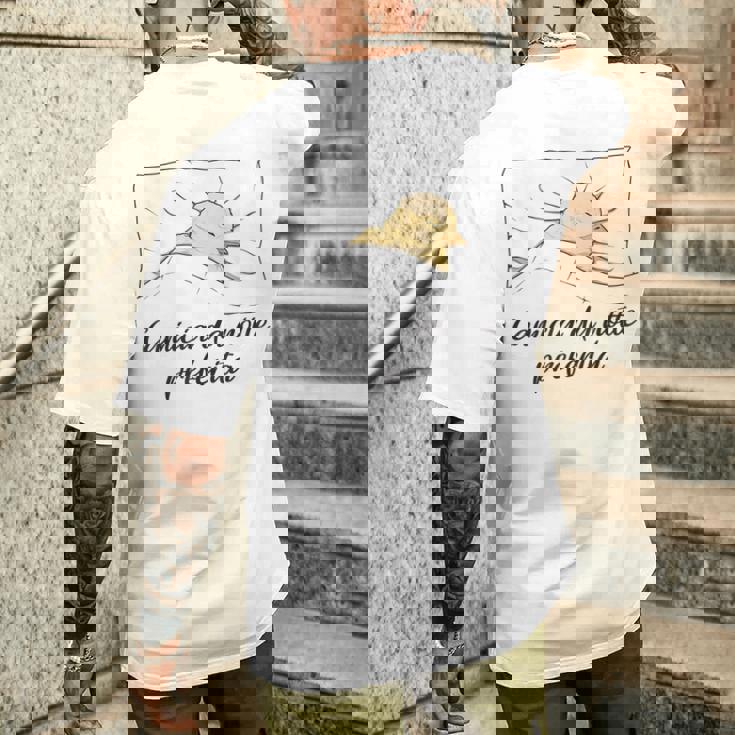 Camicia Da Notte Preferita Pulcini Pigiama Pulcini T-shirt da uomo con stampa posteriore Regalos para él