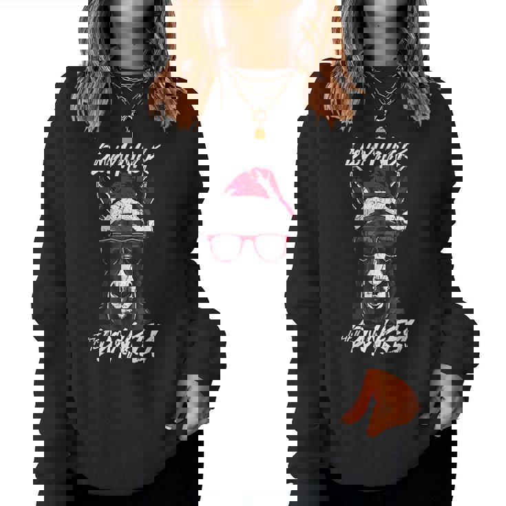 Dominick The Donkey Women Sweatshirt Thegiftio UK