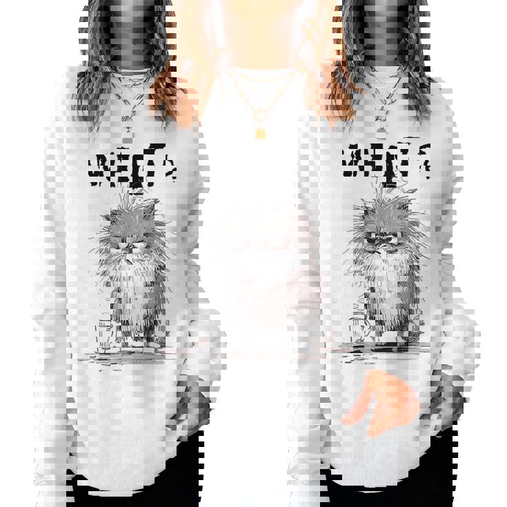 Chat Effiloché Café Mème Sarcastique Chat Drôle Homme Sweat-shirt pour femme
