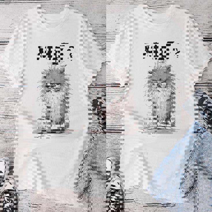 Chat Effiloché Café Mème Sarcastique Chat Drôle Homme T-shirt femme Cadeaux drôles