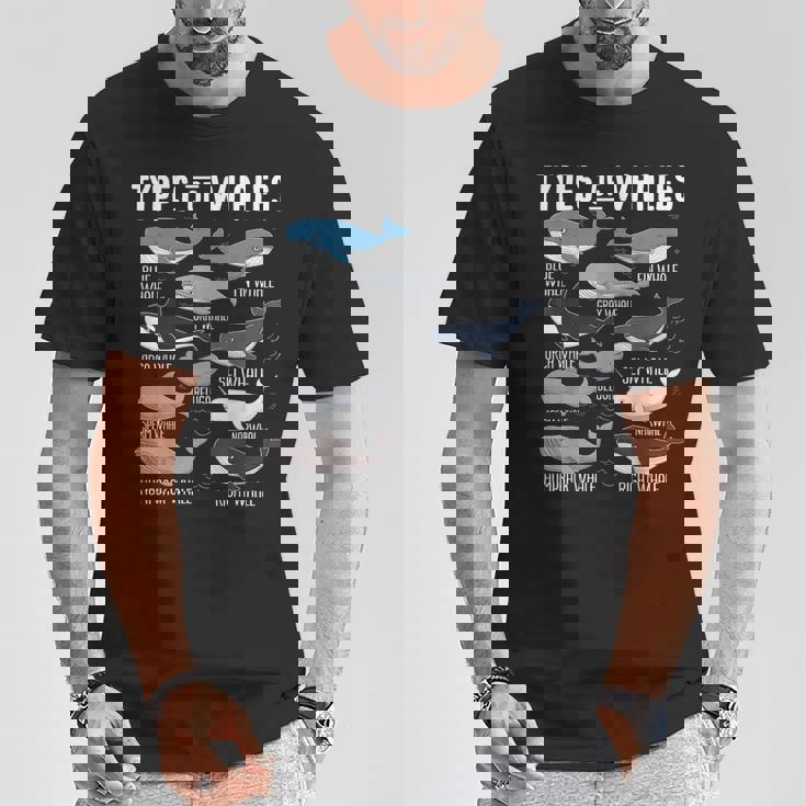 Cute Types Of Whales Ocean Mammals Guide Whale T-Shirt Seseable UK