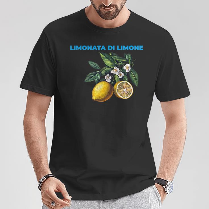 Limonata Di Limoneintage Lemon Lemonade Summer T-Shirt Lustige Geschenke