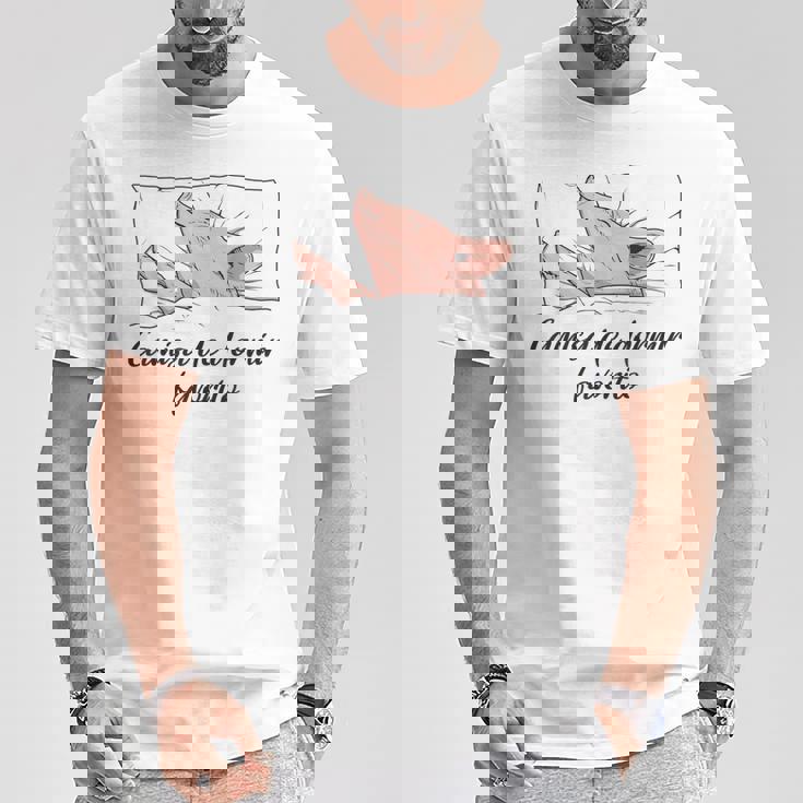 Camisa De Dormir Cerdito Pijama Cerdo Camiseta unisex Regalos divertidos
