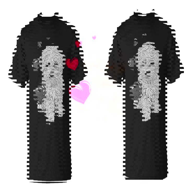Donna Cane Con Cuore Dolce Maltese Con Collo A Maglietta