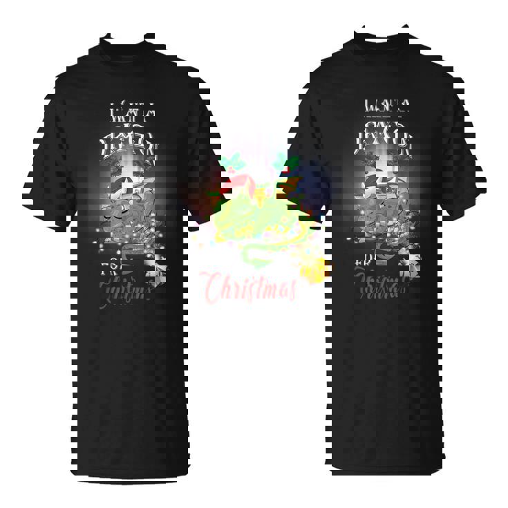 Dragon Lovers I Want A Dragon For Christmas Santa Dragon T-Shirt