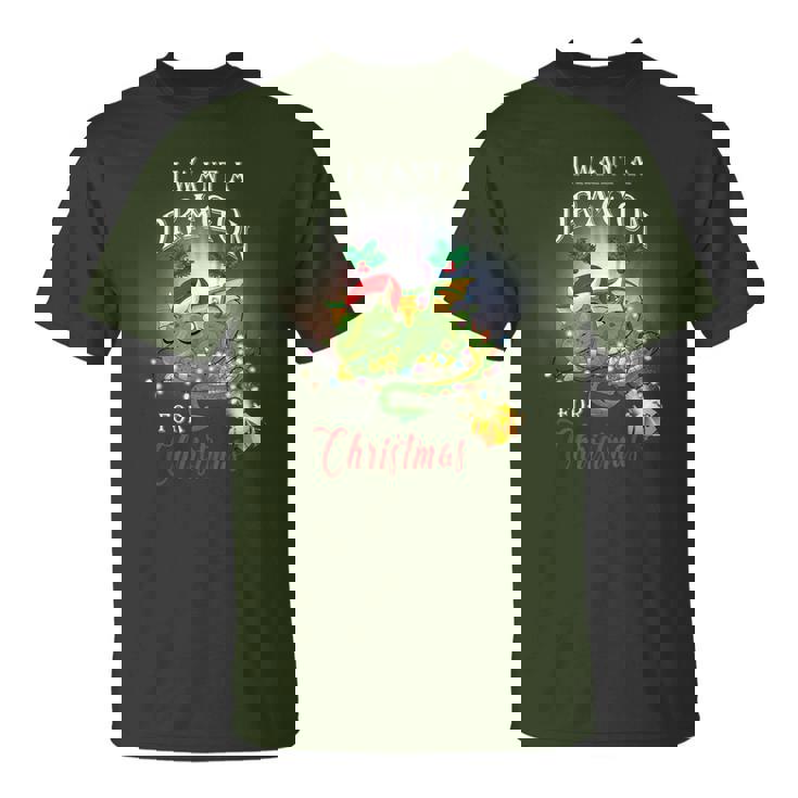 Dragon Lovers I Want A Dragon For Christmas Santa Dragon T-Shirt