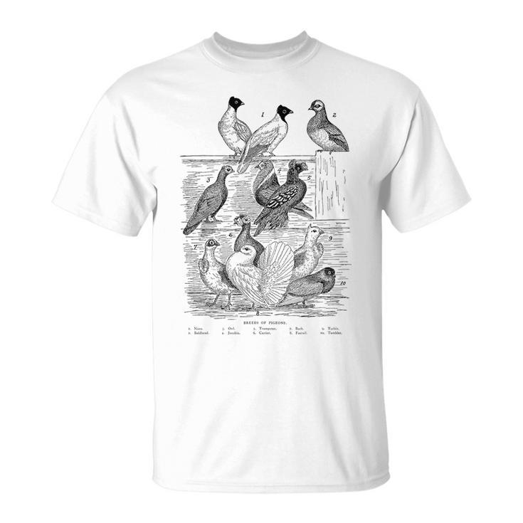 Pigeonintage Breeds Of Pigeons For Pigeon Lover T-Shirt