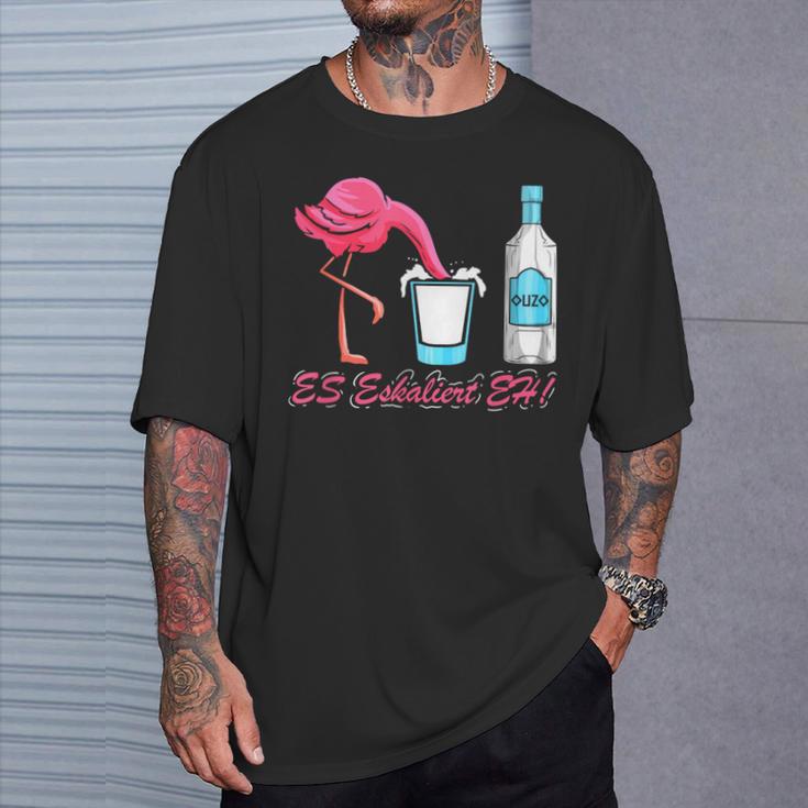 Es Escaliert Eh Flamingo & Ouzo T-Shirt Geschenke für Ihn