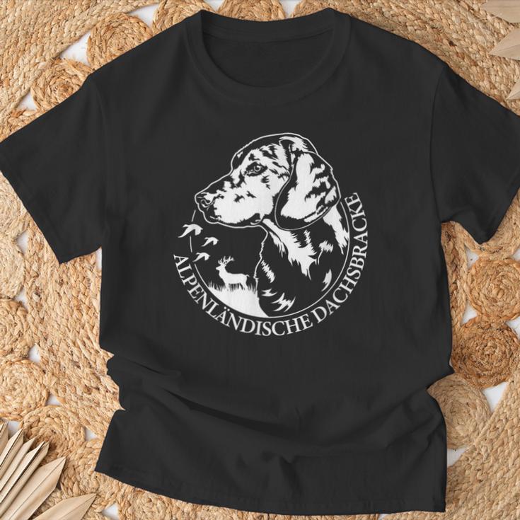 Alpenlänische Dachsbracke Portrait Hunting Dogs T-Shirt Geschenke für alte Männer