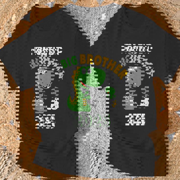 Big Brother 2025 Finally Promoted To Big Brother 2025 T-Shirt Gifts for Old Men