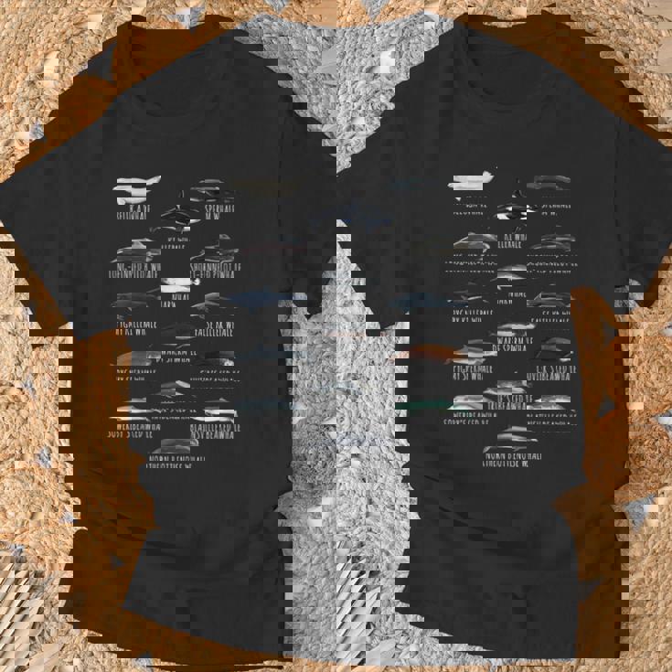 Biología De Especies De Ballenas Diferentes Tipos De Ballenas Camiseta unisex Regalos para ancianos