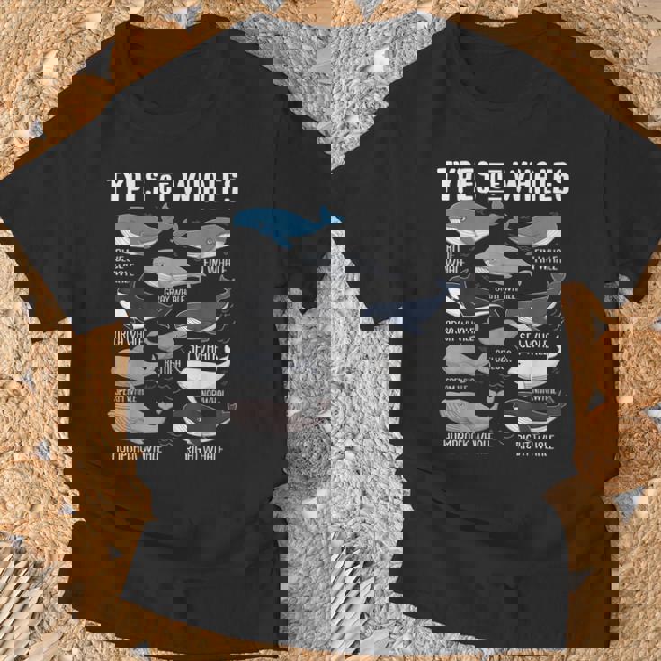 Cute Types Of Whales Ocean Mammals Guide Whale T-Shirt