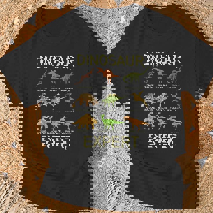 De Dinosaurio Para Niños Dinosaur Expert Camiseta unisex Regalos para ancianos