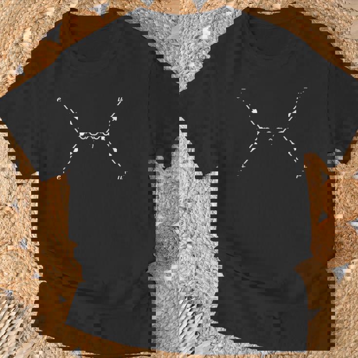Diagrama Feynman Aniquilación De Electron-Positron Camiseta unisex Regalos para ancianos