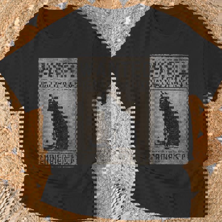 El Gato De Schrödinger Buscaba Un Gato Muertoivo Físico Camiseta unisex Regalos para ancianos