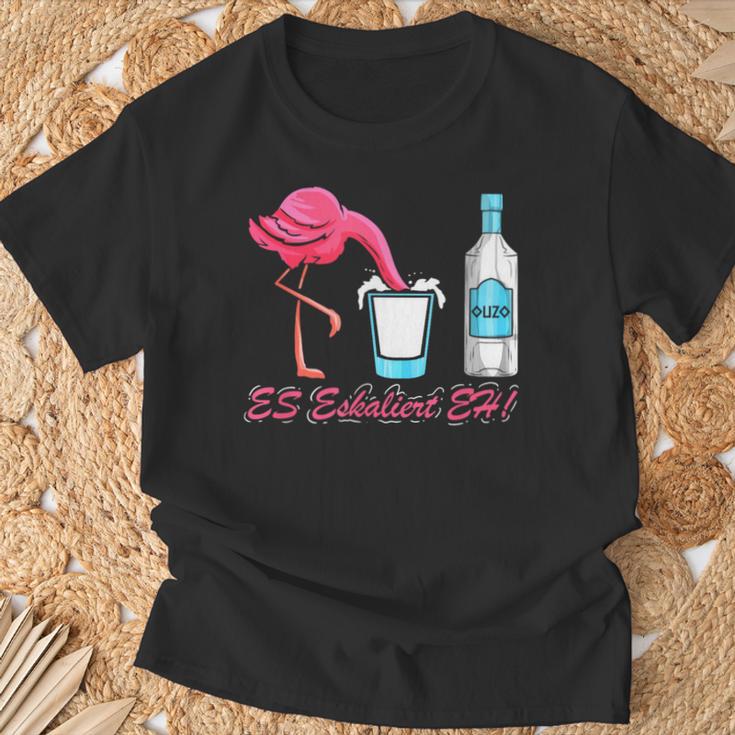 Es Escaliert Eh Flamingo & Ouzo T-Shirt Geschenke für alte Männer