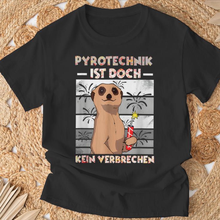 Pyrotechnik Ist Doch Keinerbrechen Feuerwerk T-Shirt Geschenke für alte Männer