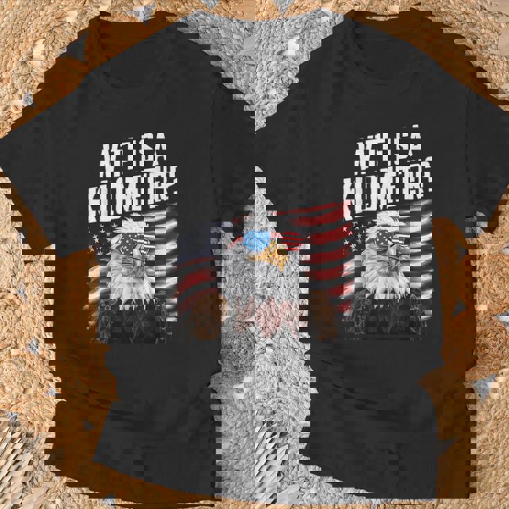 Eagle Gifts, Fourth Of July Shirts, Bald Eagle Shirts, Funny Shirts, Eagle Shirts