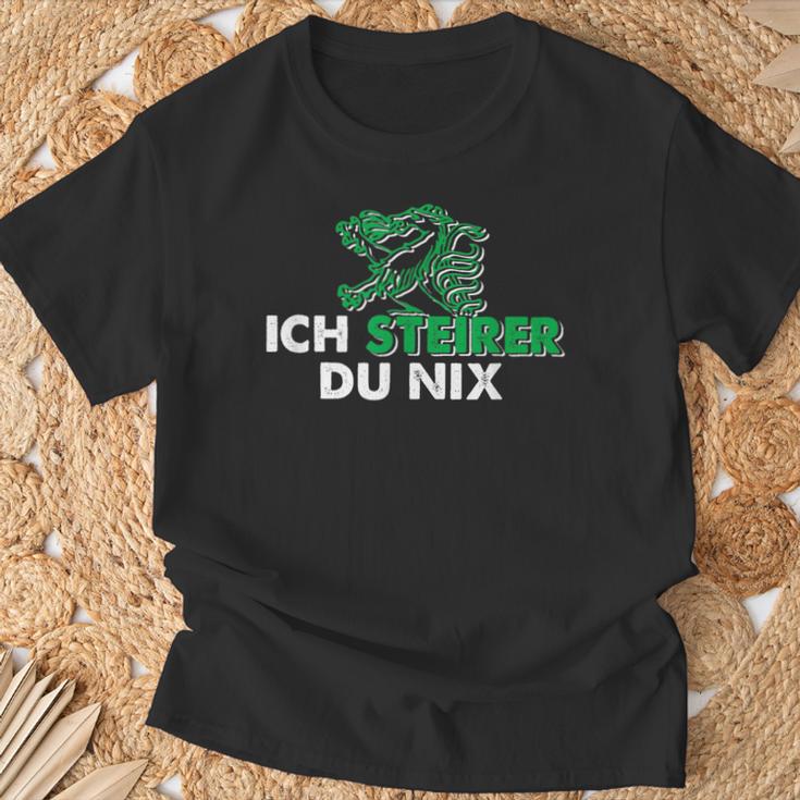 Ich Steirer Du Nix Steiermark T-Shirt Geschenke für alte Männer