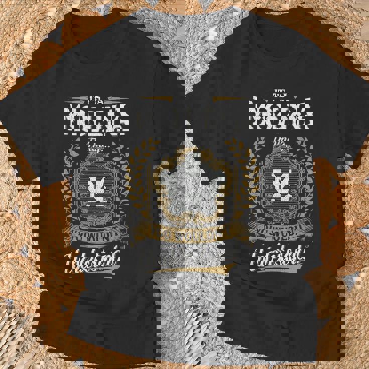 It's A Molina Thing You Wouldn't Understand Personalized Last - Main Image