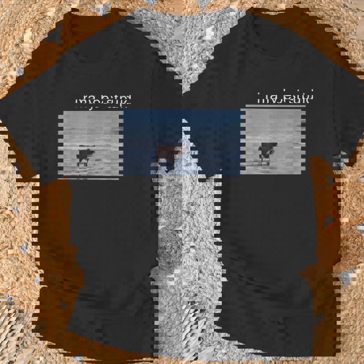 I May Be Stupid Cow Oddly Specific Dank Meme T-Shirt Gifts for Old Men