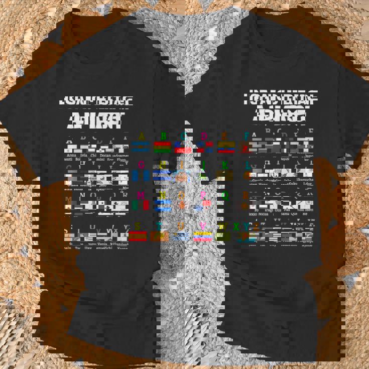 Hispanic Flag Alphabet For Teachers Educational Latin Flags T-Shirt Gifts for Old Men