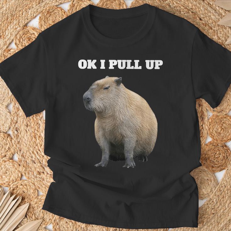 Vintage Ok I Pull Up Capybara T-Shirt Geschenke für alte Männer