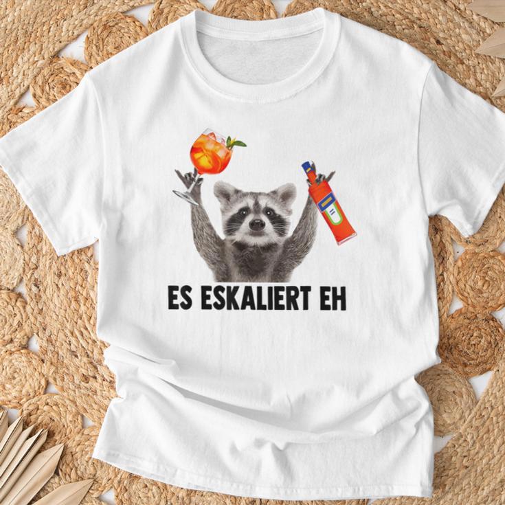 Es Eskaliert Eh X Raccoon Meme Racoon X Pedro Spritz T-Shirt Geschenke für alte Männer