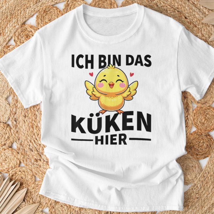 Ich Bin Das Küken Hier Kücken T-Shirt Geschenke für alte Männer