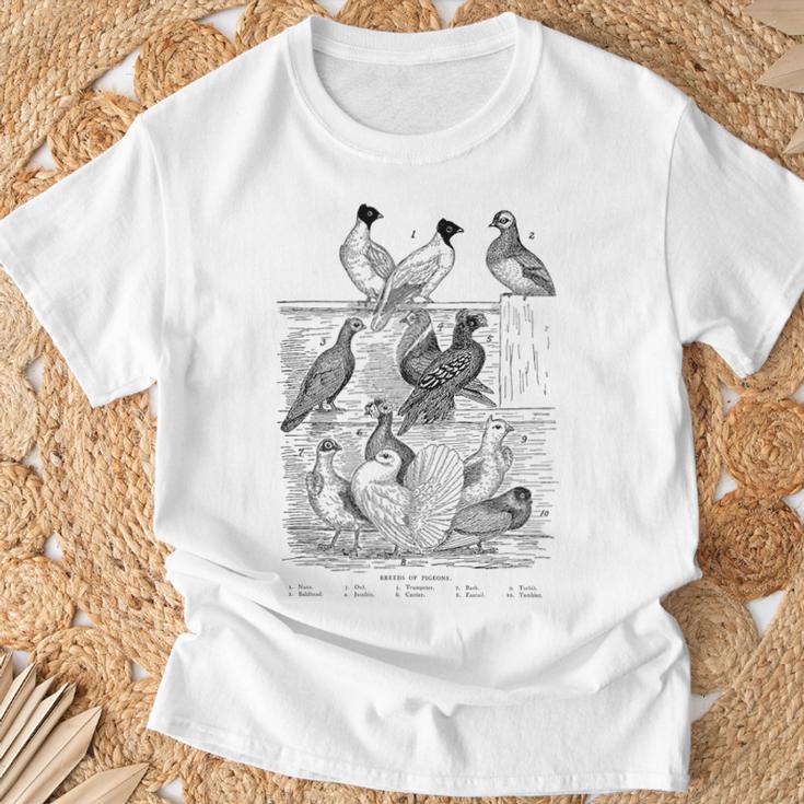 Pigeonintage Breeds Of Pigeons For Pigeon Lover T-Shirt Geschenke für alte Männer