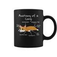 Anatomy Of A Corgi Cane Tazze