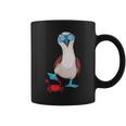 Isole Galapagos Ballo Booby Dai Piedi Azzurri Galapagos Tazze