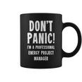 Responsabile Progetto Energia Tazze